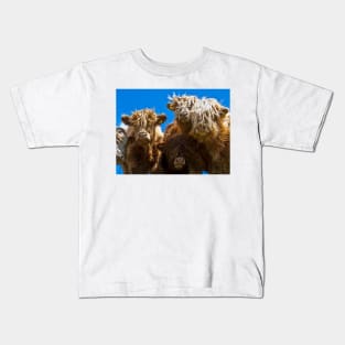 Friendly curious highland cattle Kids T-Shirt